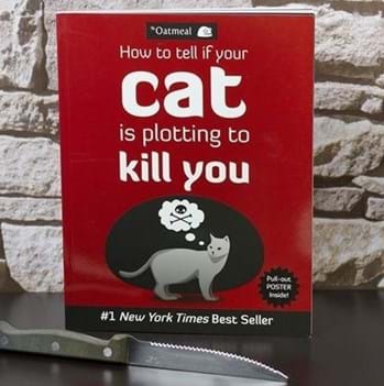 cat-book
